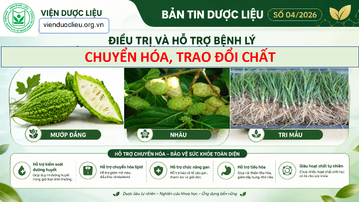 Không có ảnh